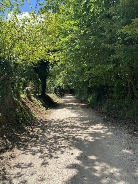 Day 10 Via Francigena