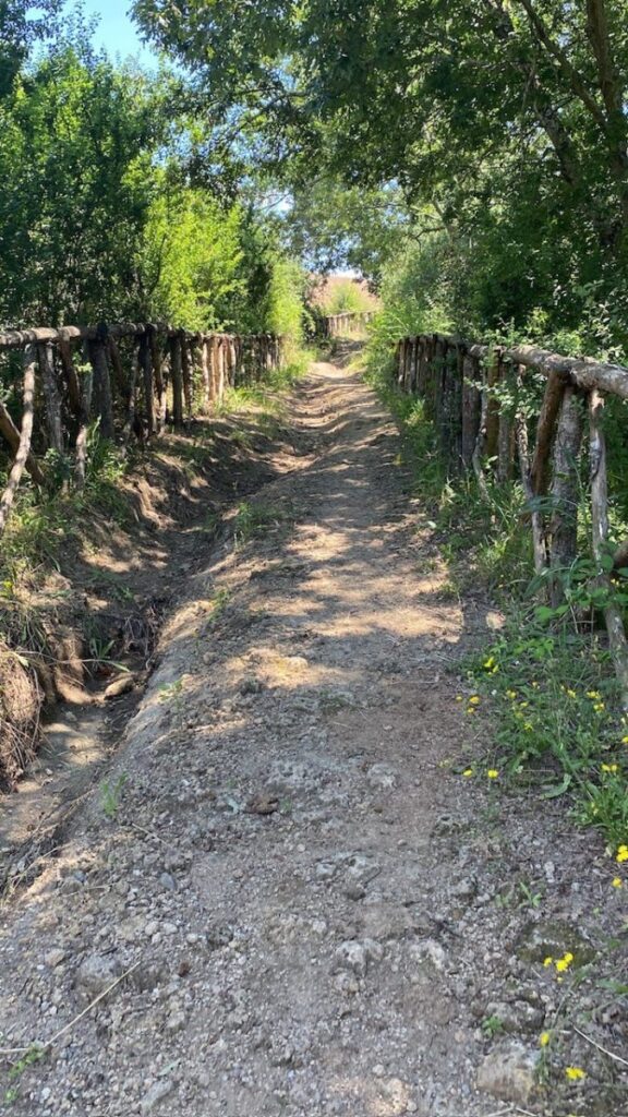 Day 12 Via Francigena (photo 12)