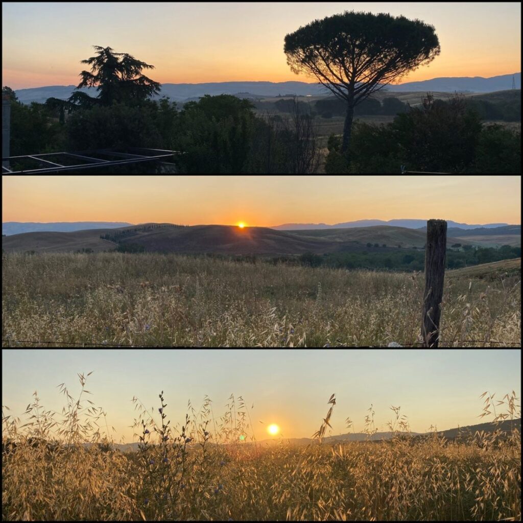Day 4 Via Francigena (photo 30)