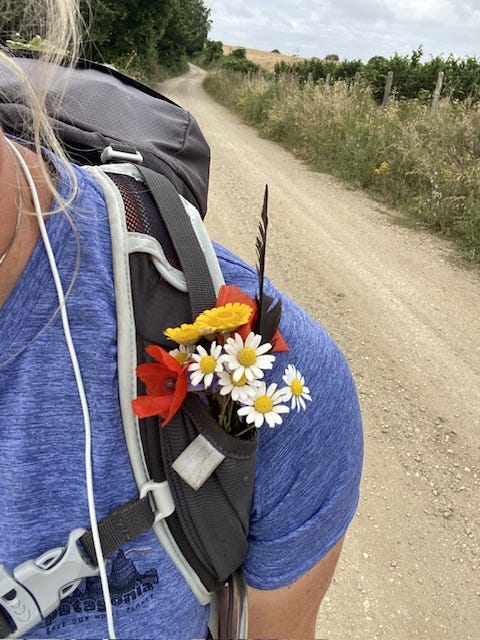 Day 8 Via Francigena (photo 17)
