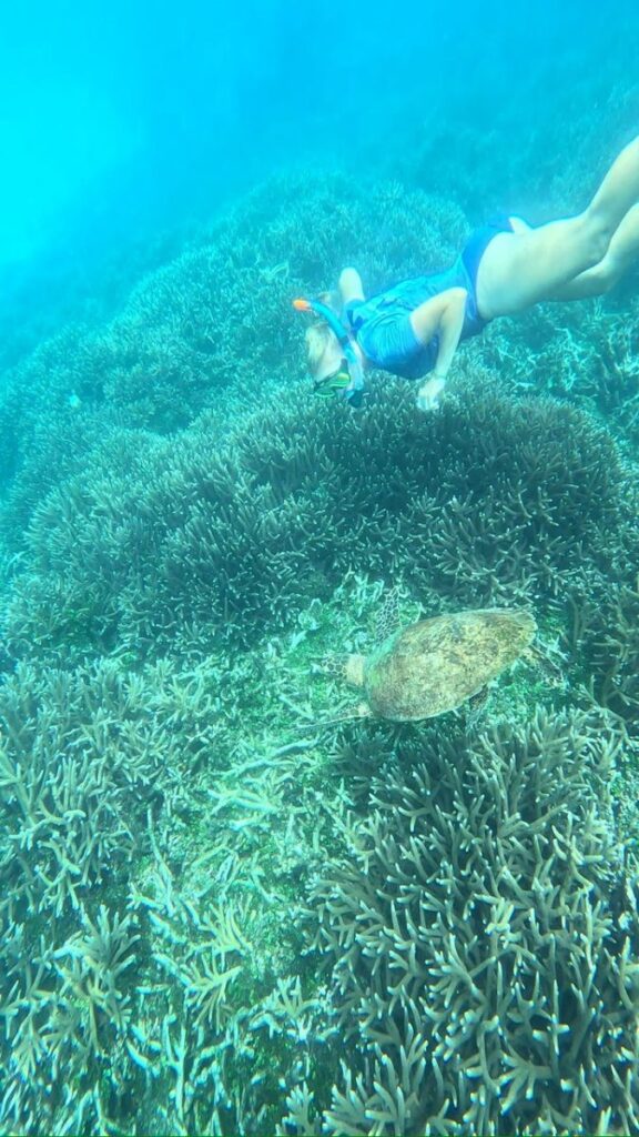 Swimming with SHARKS!, Trincomalee, Sri Lanka (photo 16)