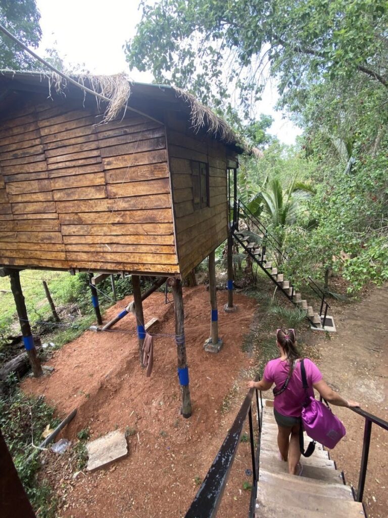 Treehouses, Frogs, & Elephants, Oh My!, Sigiriya, Sri Lanka (photo 9)