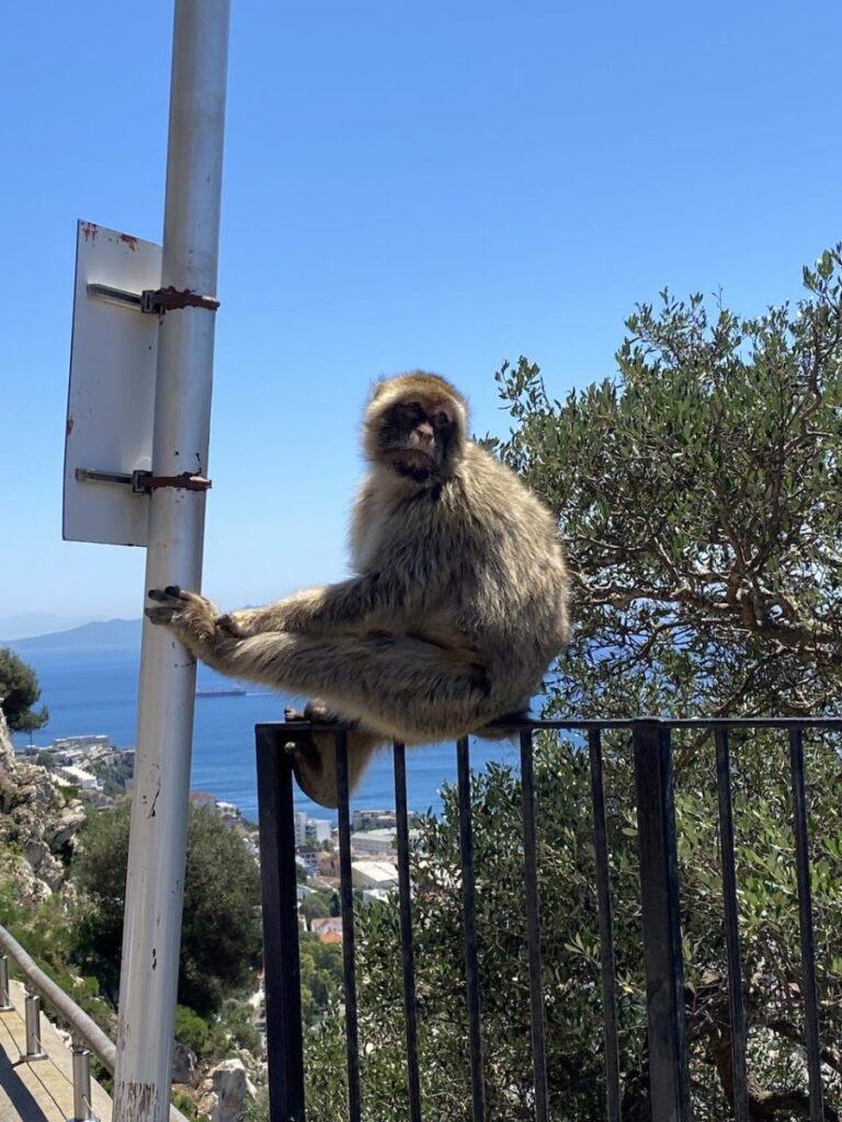 The Rock, Gibraltar (photo 23)