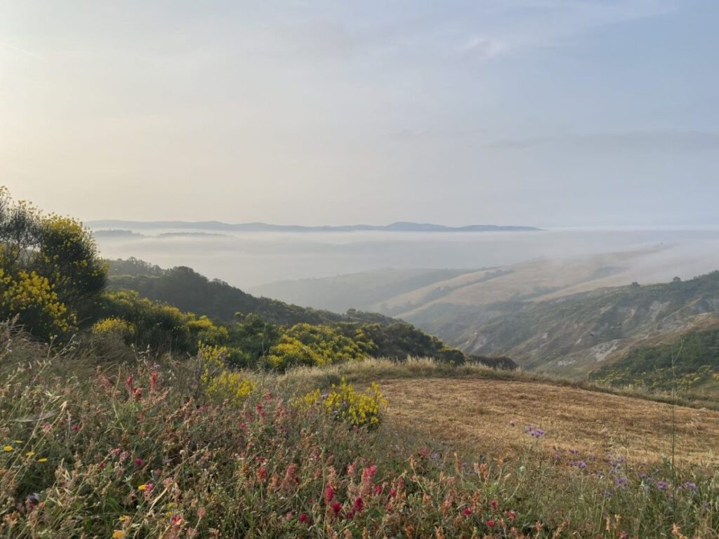 Day 5 Via Francigena (photo 35)