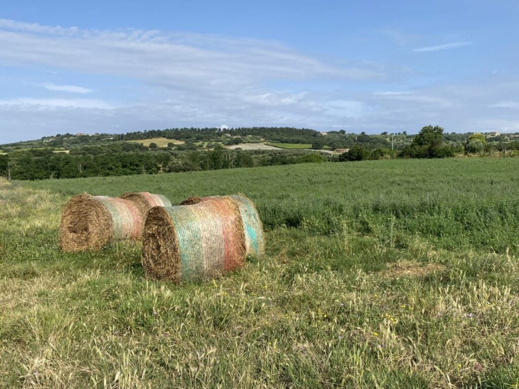 Day 8 Via Francigena (photo 41)