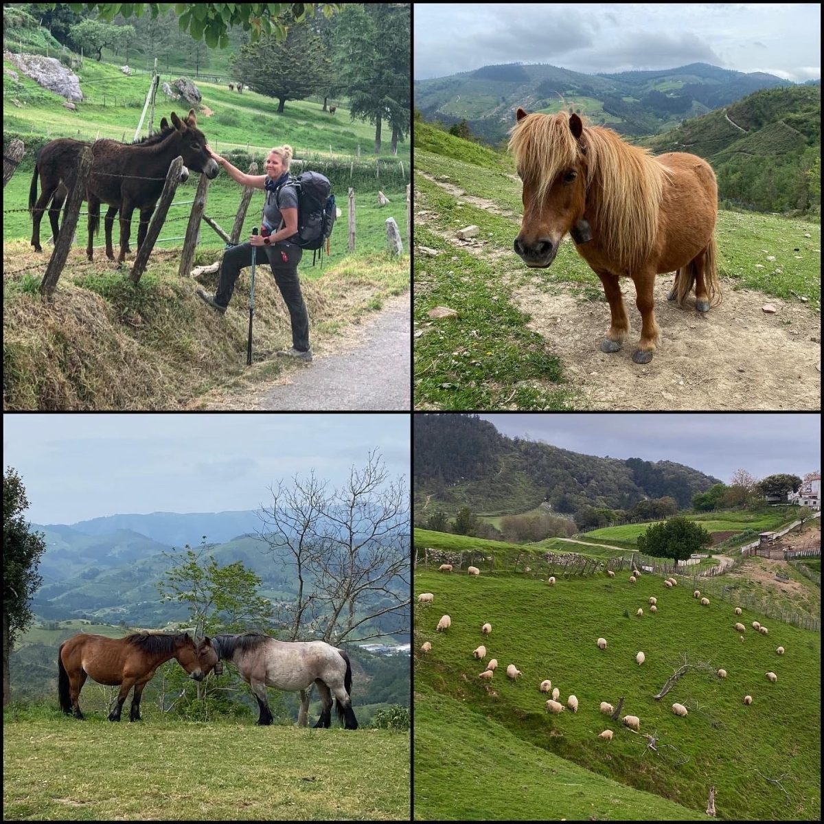 Day 5 El Camino del Norte