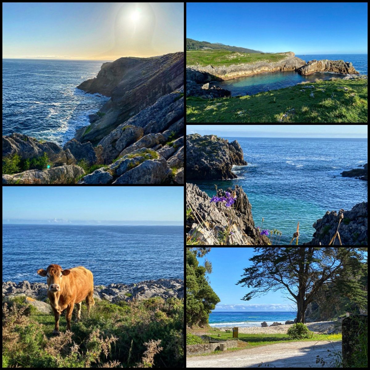 Day 19 El Camino del Norte
