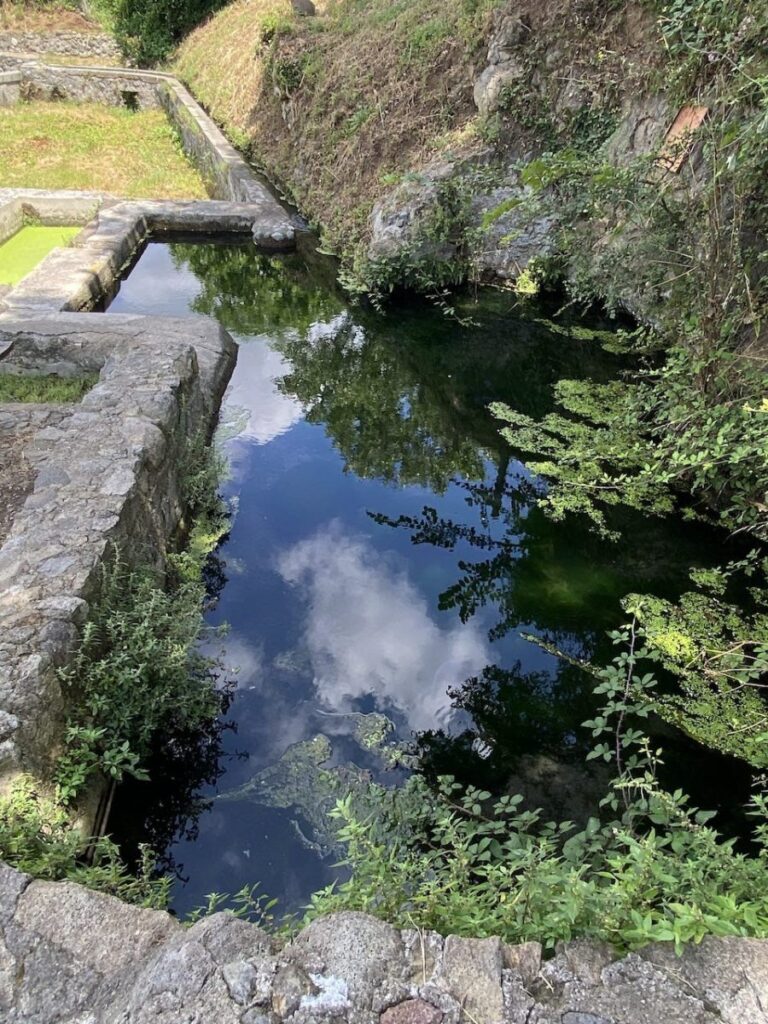 Day 9 Via Francigena (photo 25)