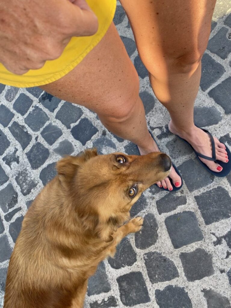 Day 11 Via Francigena (photo 17)