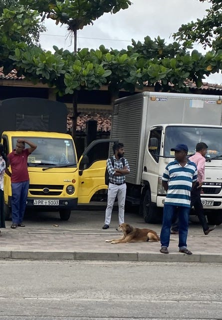 Planes, Trains, Scooters, & Tuk Tuks., Colombo, Sri Lanka (photo 7)