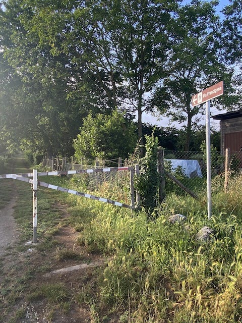 Day 10 Via Francigena (photo 44)