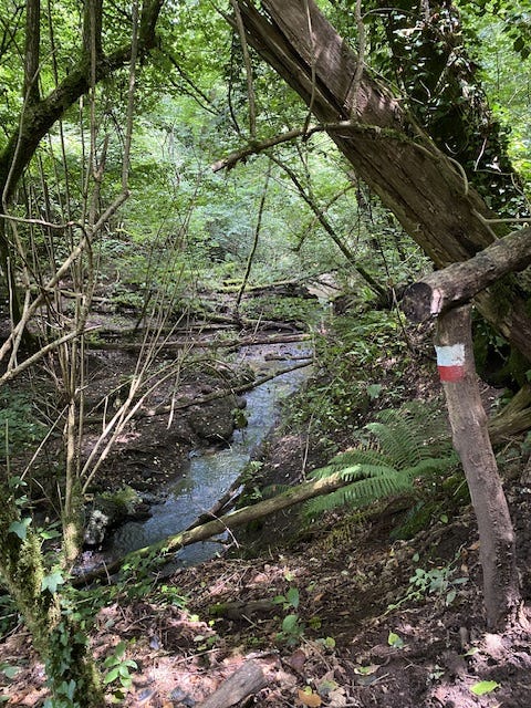 Day 10 Via Francigena (photo 5)