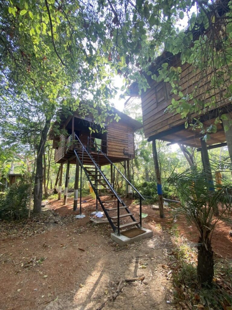 Treehouses, Frogs, & Elephants, Oh My!, Sigiriya, Sri Lanka (photo 34)