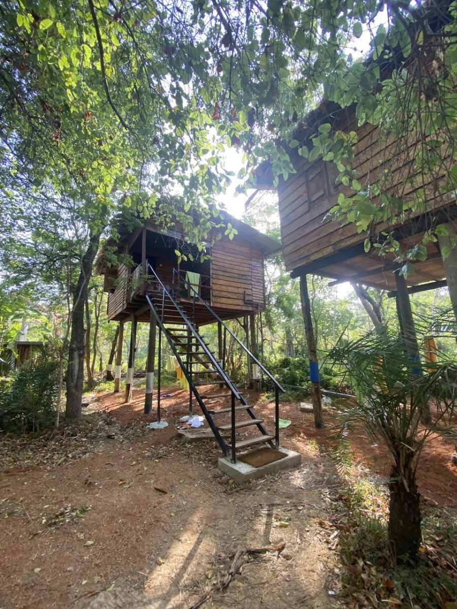 Treehouses, Frogs, & Elephants, Oh My!, Sigiriya, Sri Lanka (photo 34)