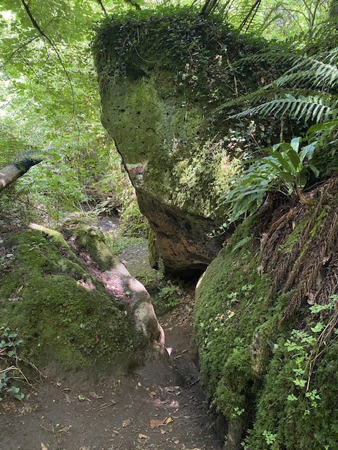 Day 10 Via Francigena (photo 28)
