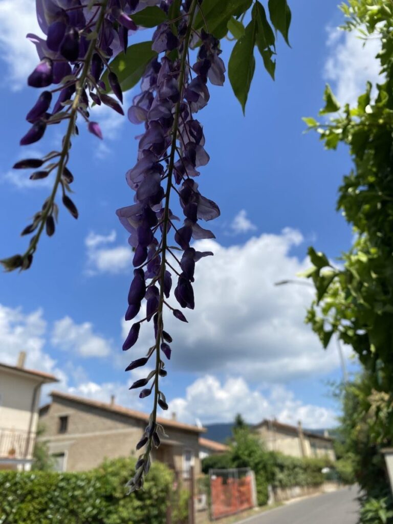 Day 9 Via Francigena (photo 2)
