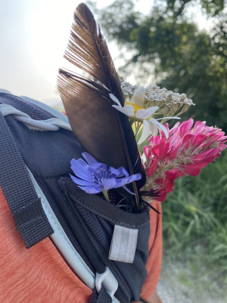 Day 5 Via Francigena (photo 6)