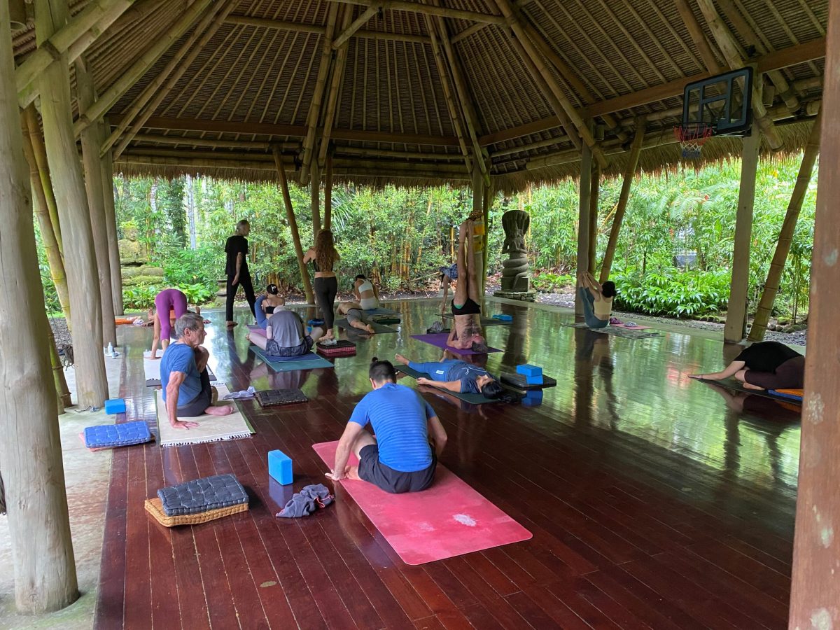 Wax On, Wax Off, Bali, Indonesia (photo 8)