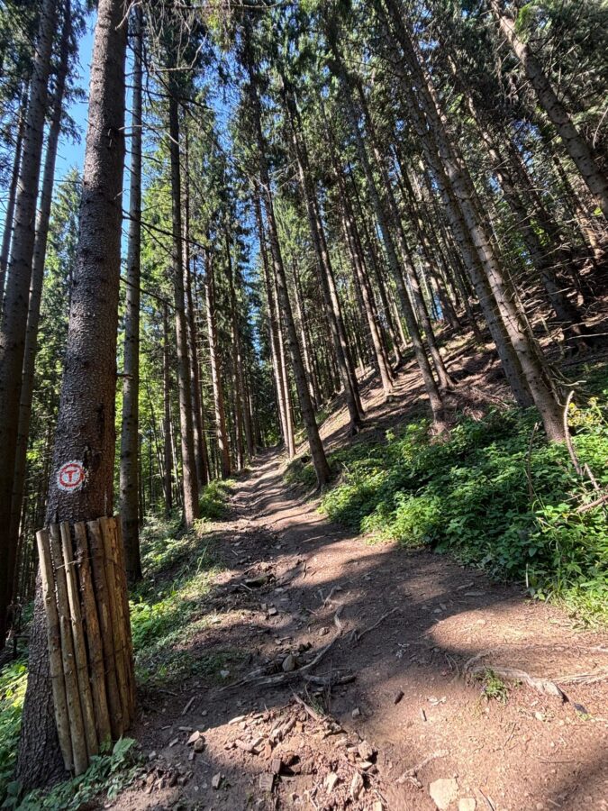 The Hike That Nearly Broke Me