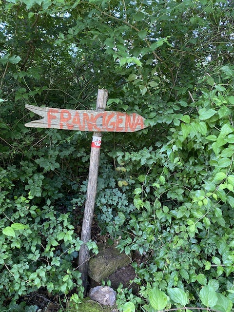 Day 9 Via Francigena (photo 8)