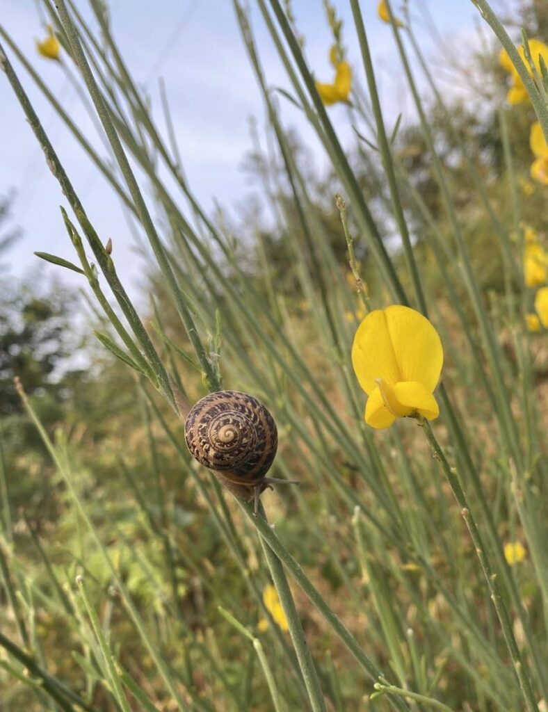Day 5 Via Francigena (photo 33)
