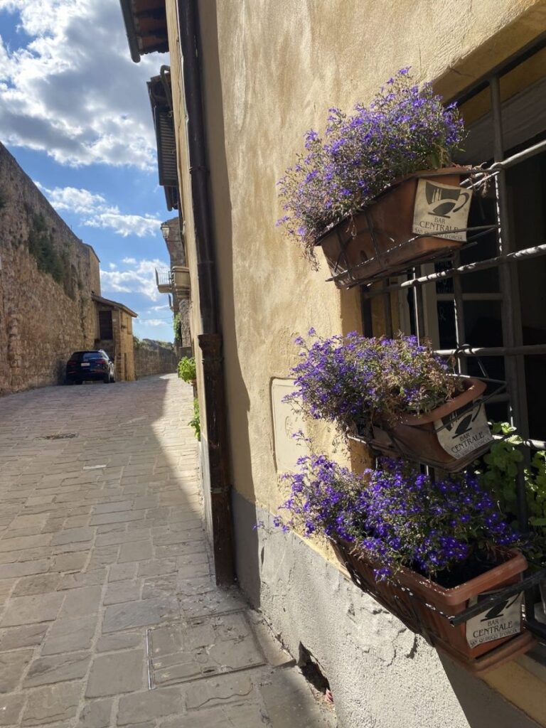 Day 2 Via Francigena (photo 2)
