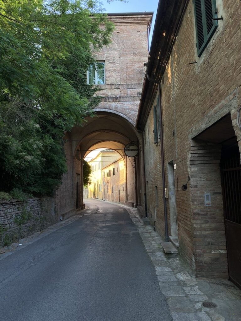 Day 1 Via Francigena (photo 8)