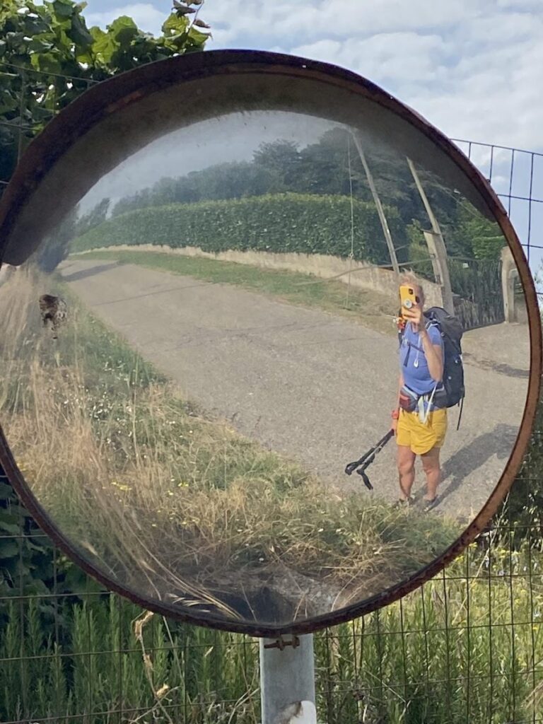 Day 8 Via Francigena (photo 15)
