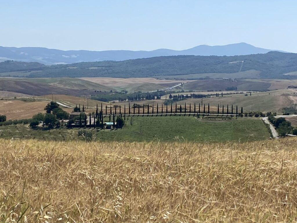 Day 3 Via Francigena (photo 7)