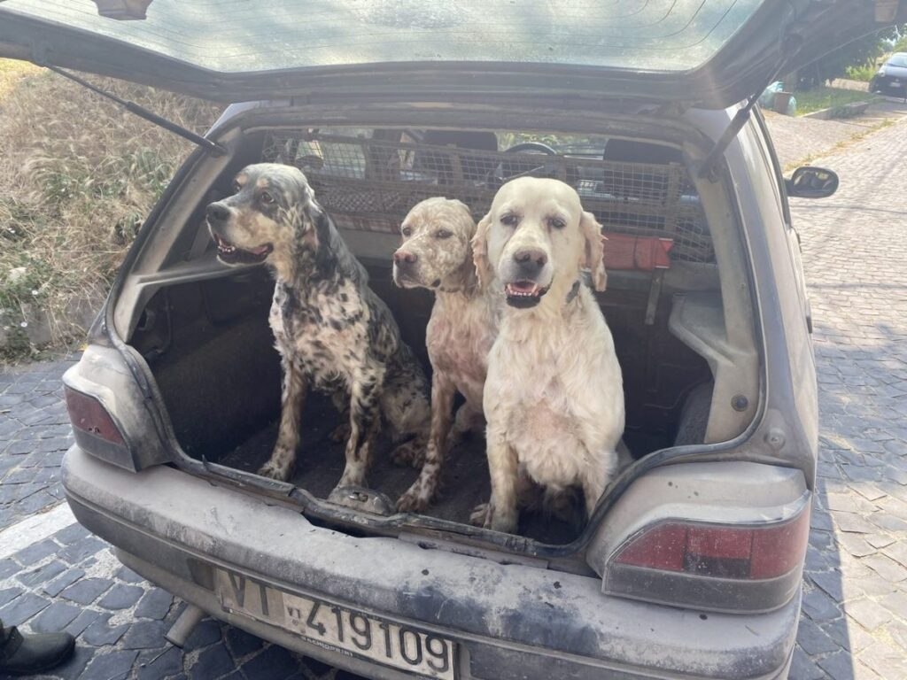 Day 5 Via Francigena (photo 30)