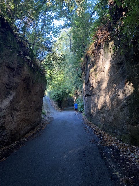 Day 9 Via Francigena (photo 29)