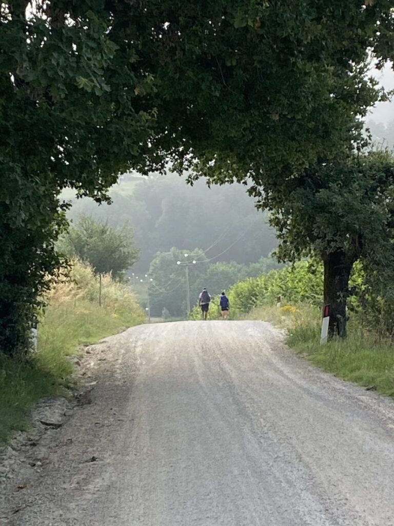 Day 1 Via Francigena (photo 5)