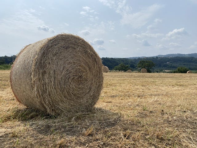 Day 7 Via Francigena (photo 7)