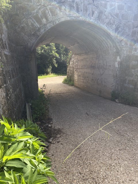Day 10 Via Francigena (photo 12)