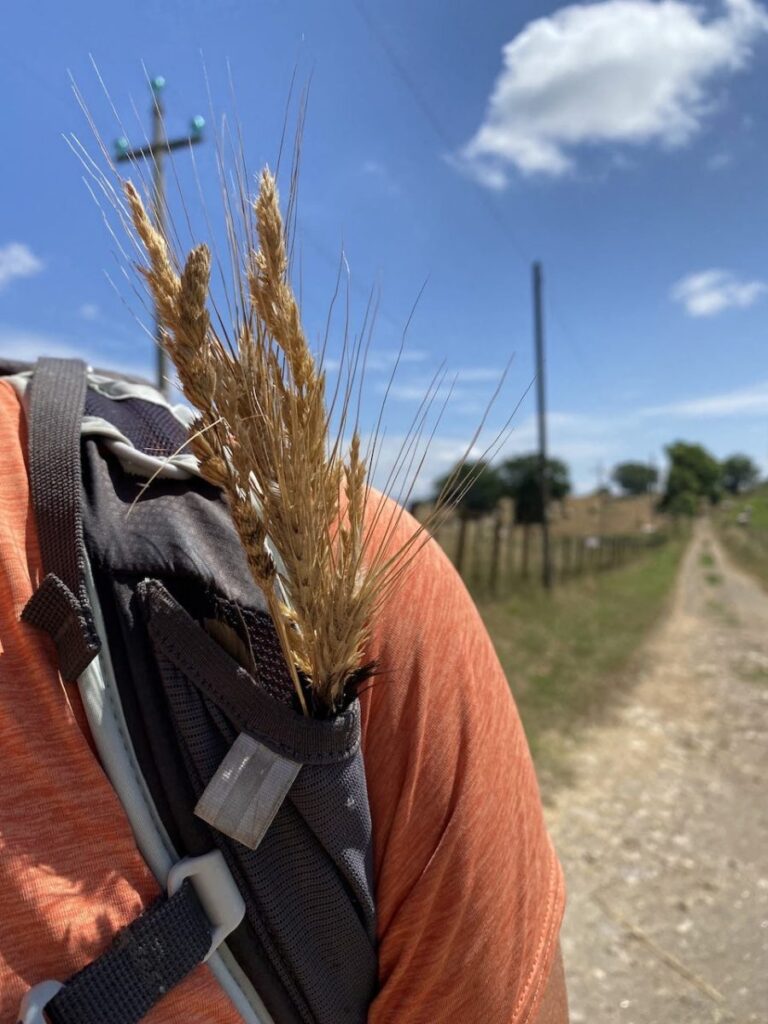 Day 11 Via Francigena (photo 3)
