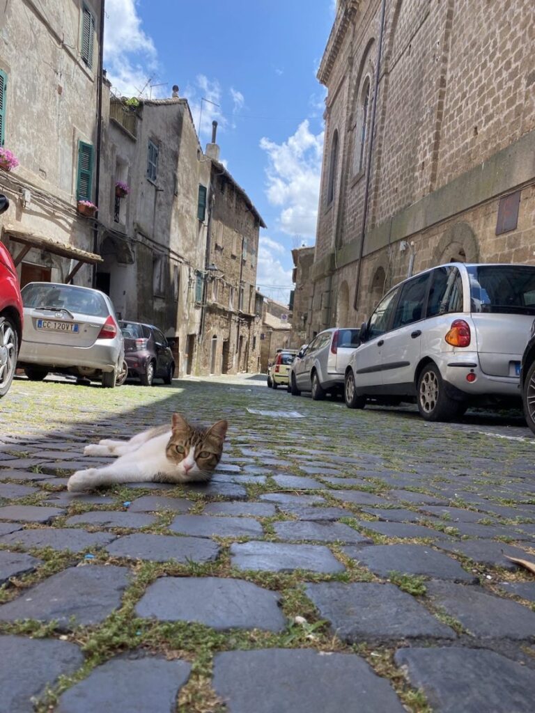 Day 10 Via Francigena (photo 29)