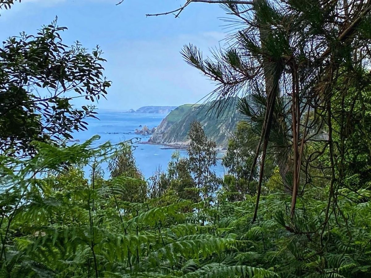 Day 29 El Camino del Norte