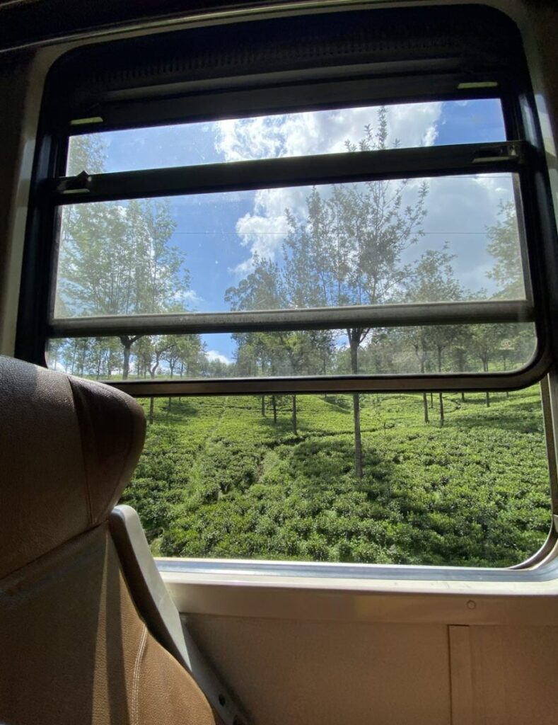 All Aboard, Nuwara Eliya, Sri Lanka (photo 9)