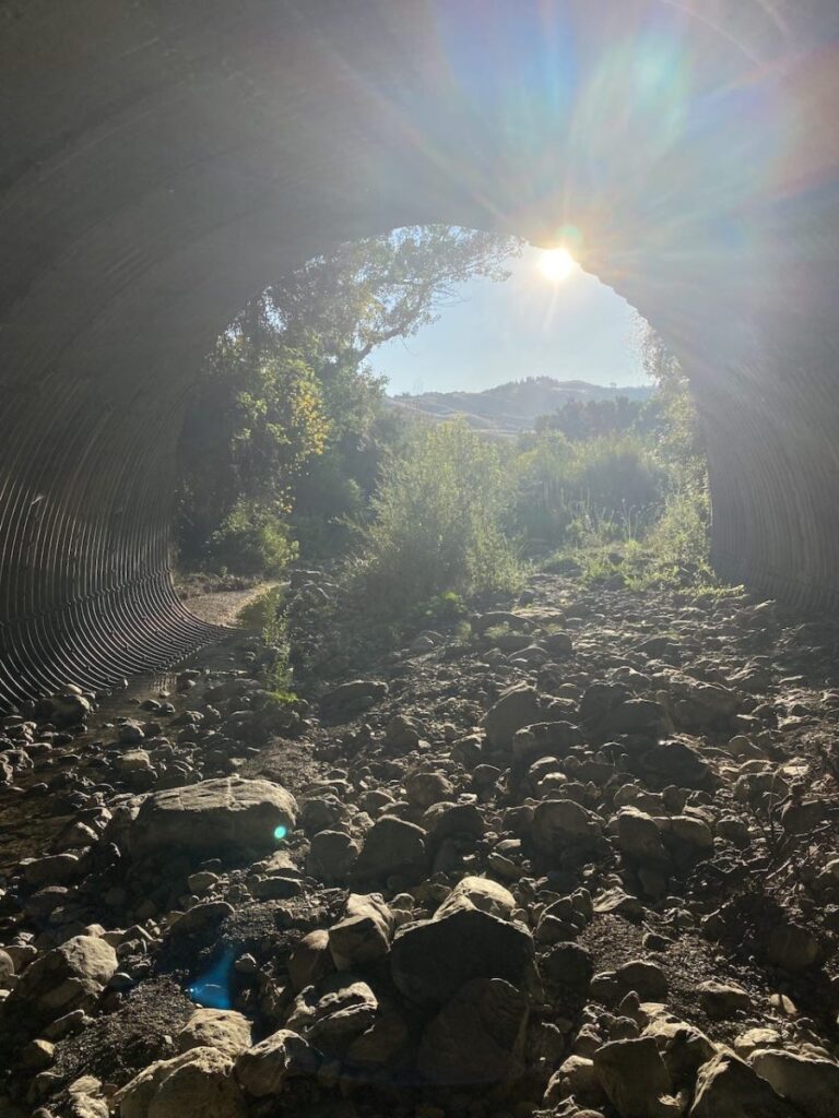 Day 4 Via Francigena (photo 13)