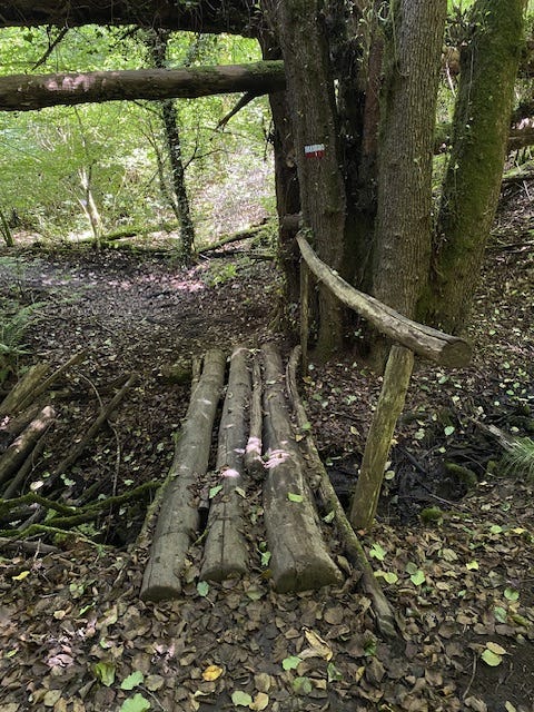 Day 10 Via Francigena (photo 27)