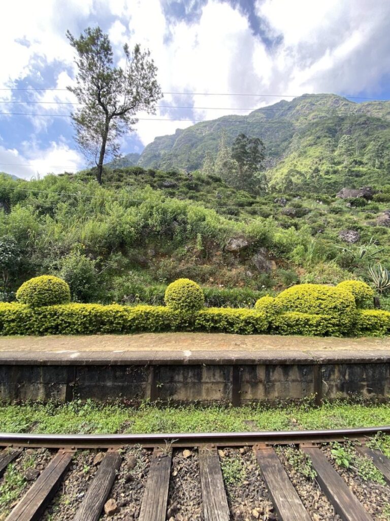 All Aboard, Nuwara Eliya, Sri Lanka (photo 3)