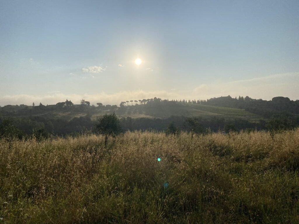Day 1 Via Francigena (photo 7)