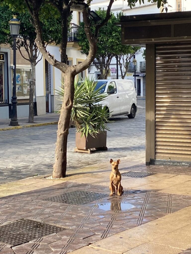 A Gift, Tarifa, Spain (photo 7)