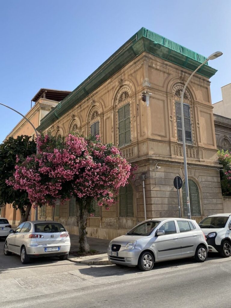 Picture it Sicily…2023, Trapani, Sicily (photo 25)
