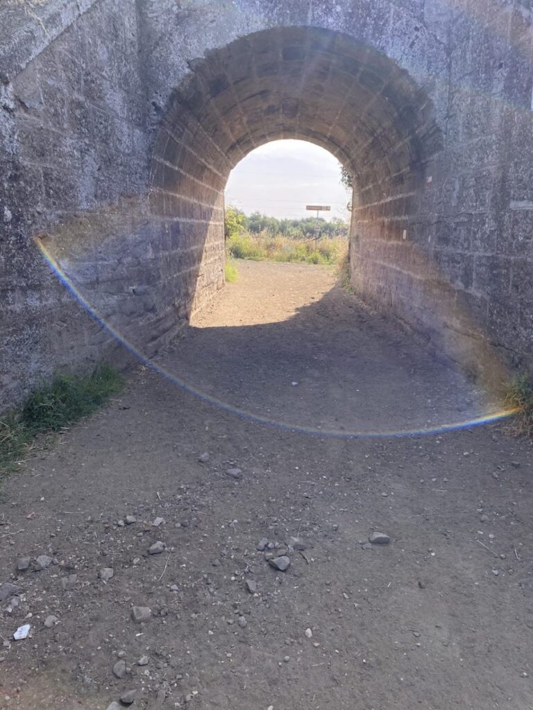 Day 8 Via Francigena (photo 42)