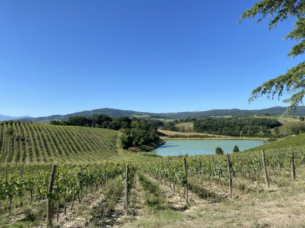 Day 2 Via Francigena (photo 22)