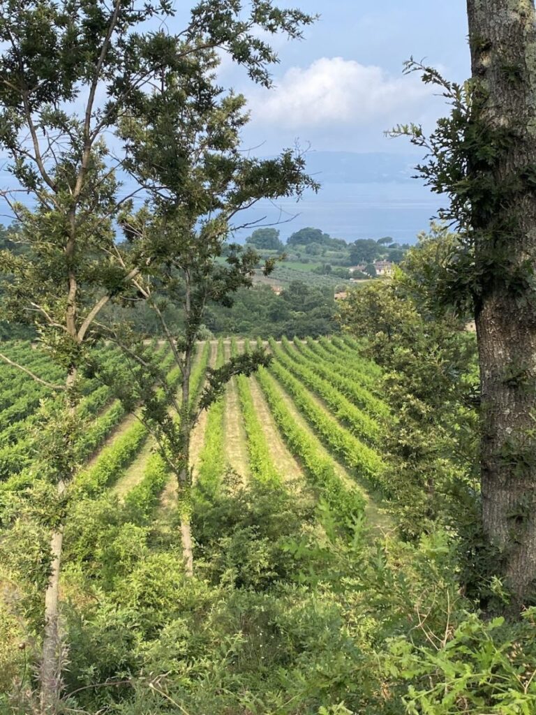Day 7 Via Francigena (photo 34)