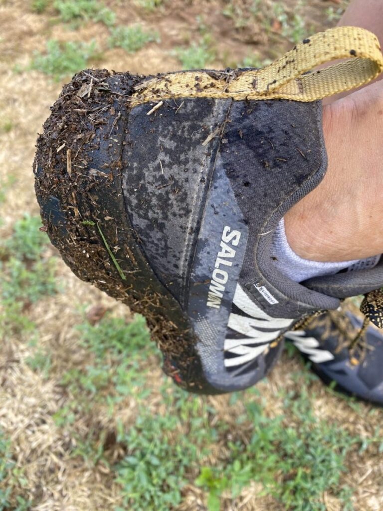 Day 10 Via Francigena (photo 14)