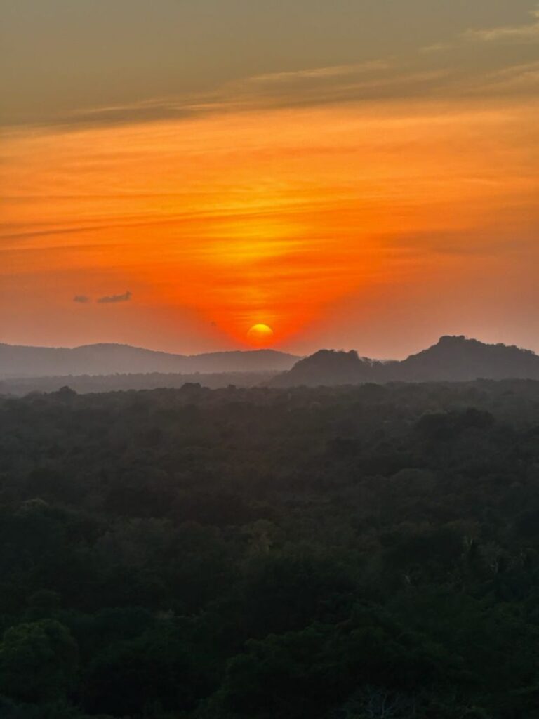 Treehouses, Frogs, & Elephants, Oh My!, Sigiriya, Sri Lanka (photo 12)