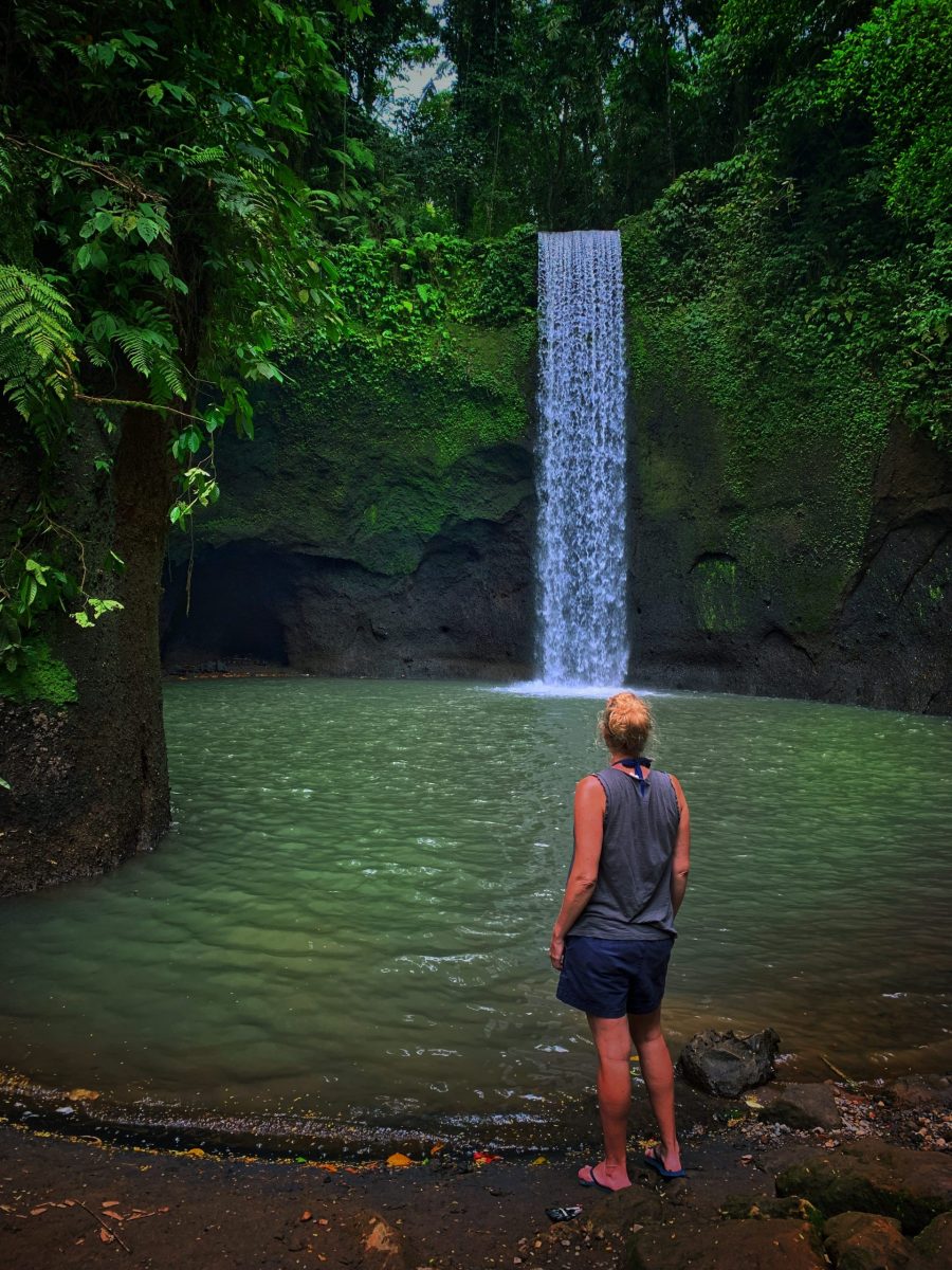 Chasing Waterfalls, Bali, Indonesia (photo 8)